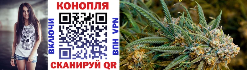 Канабис Amnesia  закладка  Ивдель 